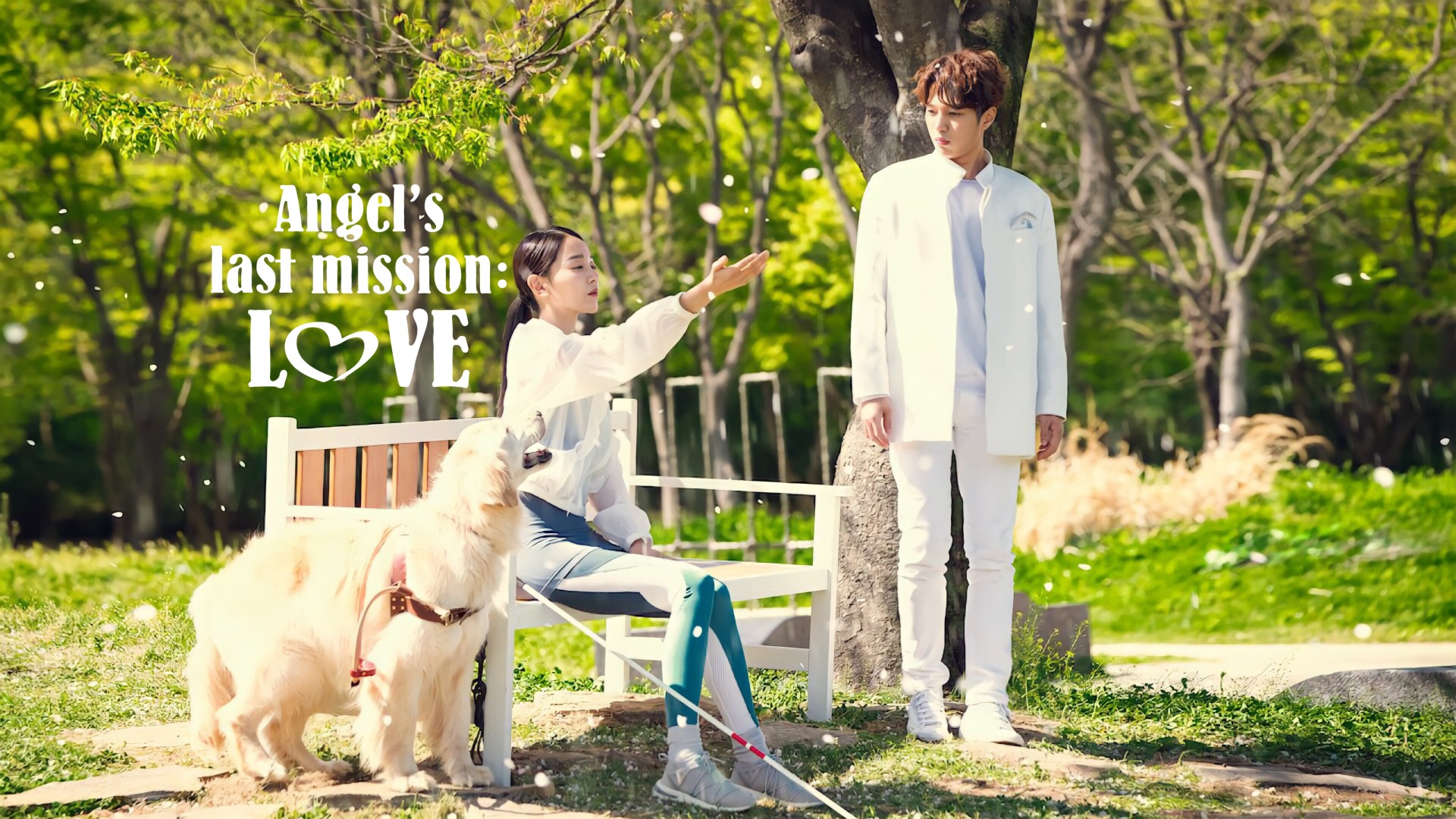 Angel’s Last Mission: Love 1. Sezon 15. Bölüm