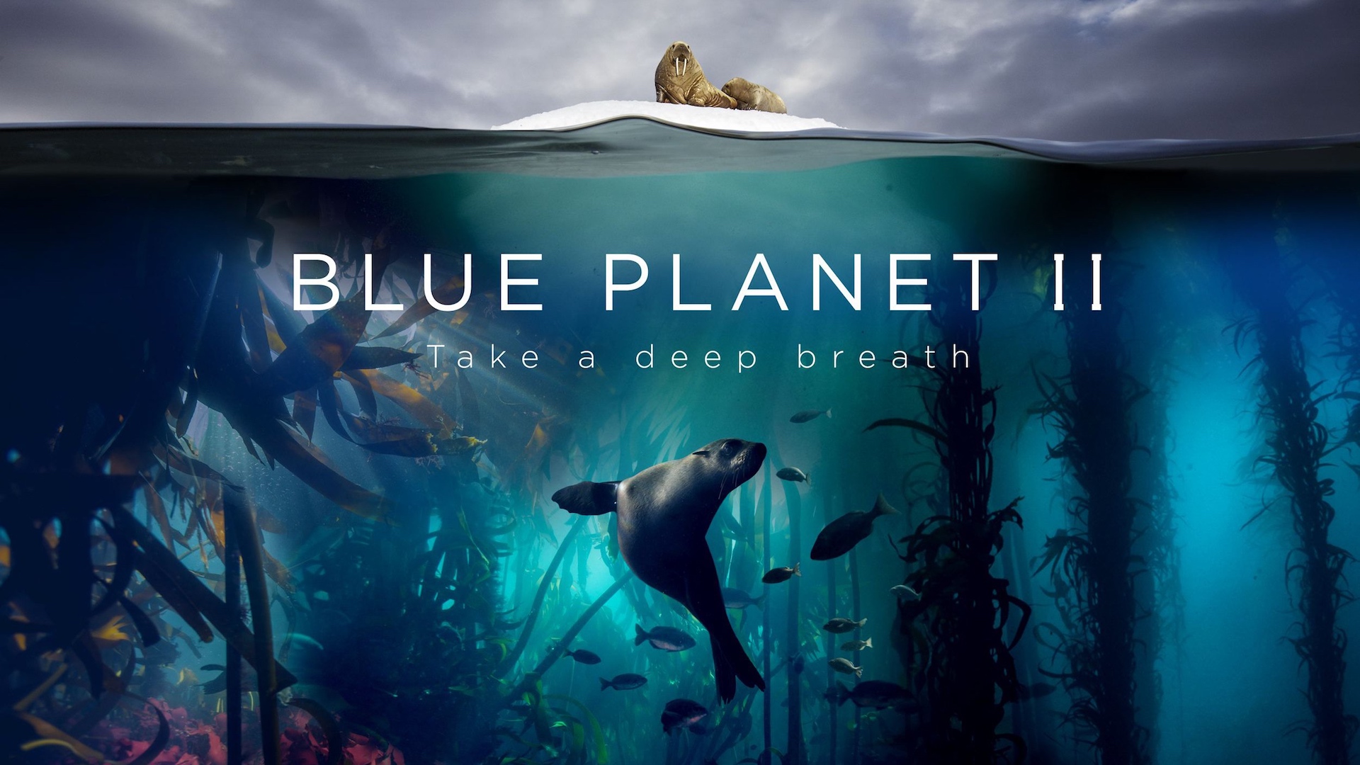Blue Planet II 1. Sezon 5. Bölüm