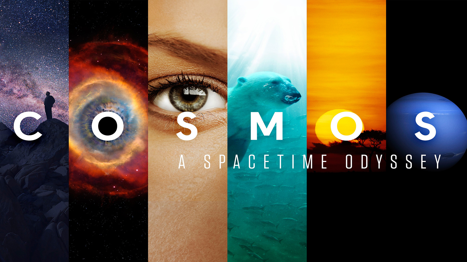 Cosmos: A SpaceTime Odyssey 1. Sezon 6. Bölüm