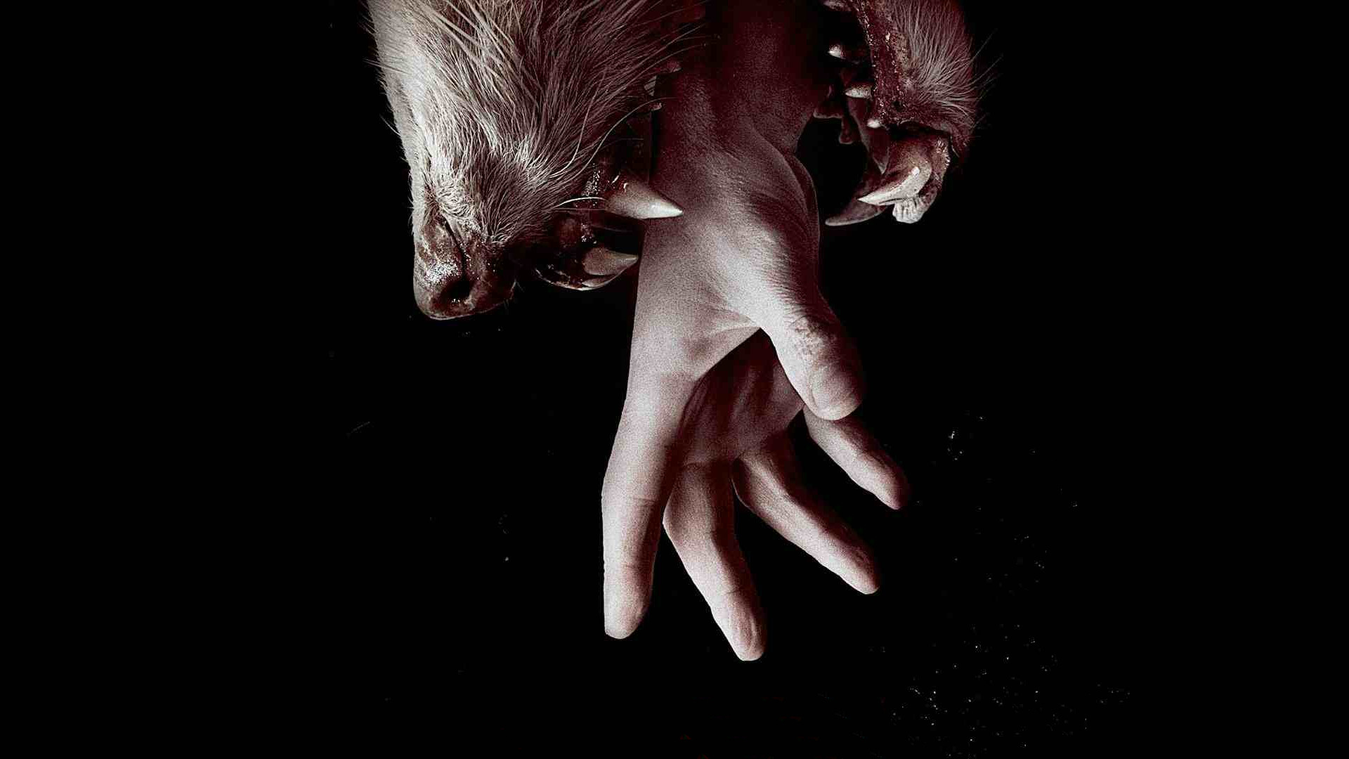 Hemlock Grove 3. Sezon 7. Bölüm