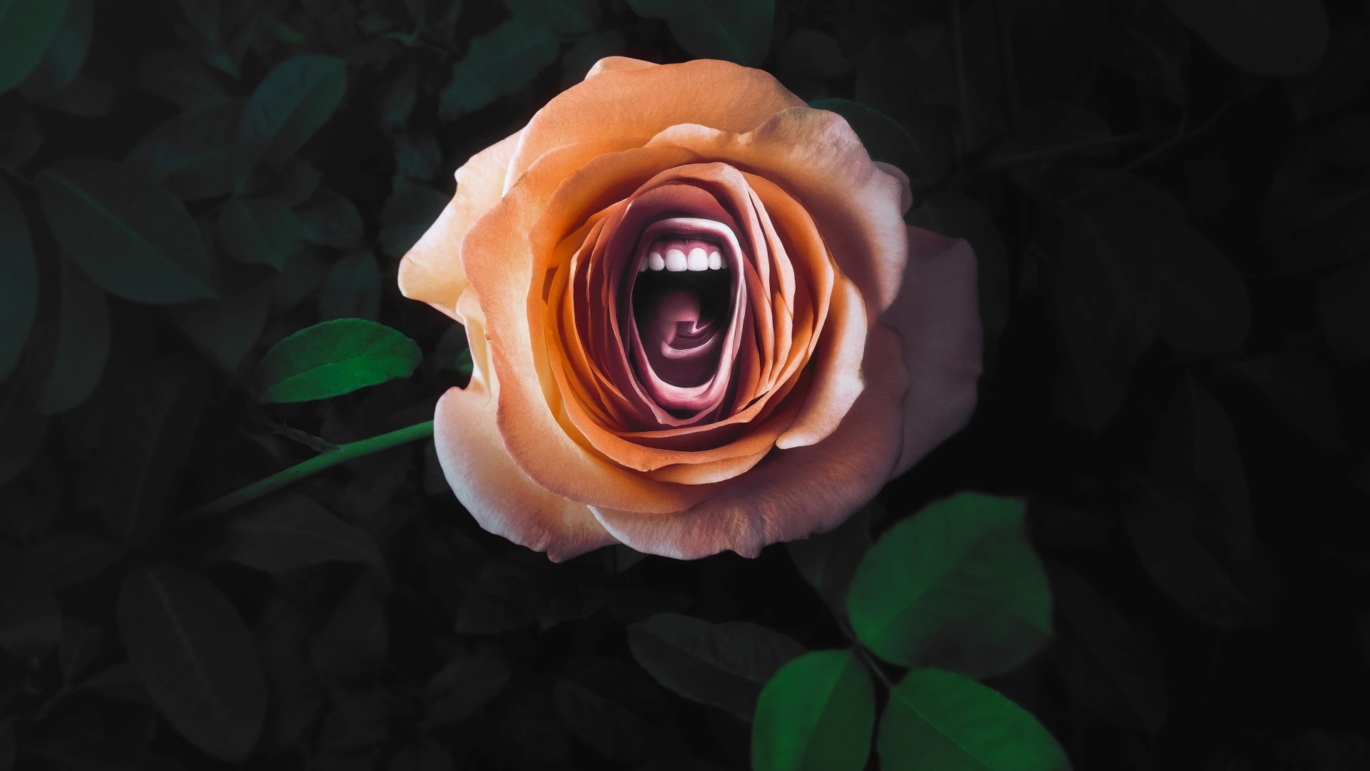 Roar 1. Sezon 4. Bölüm