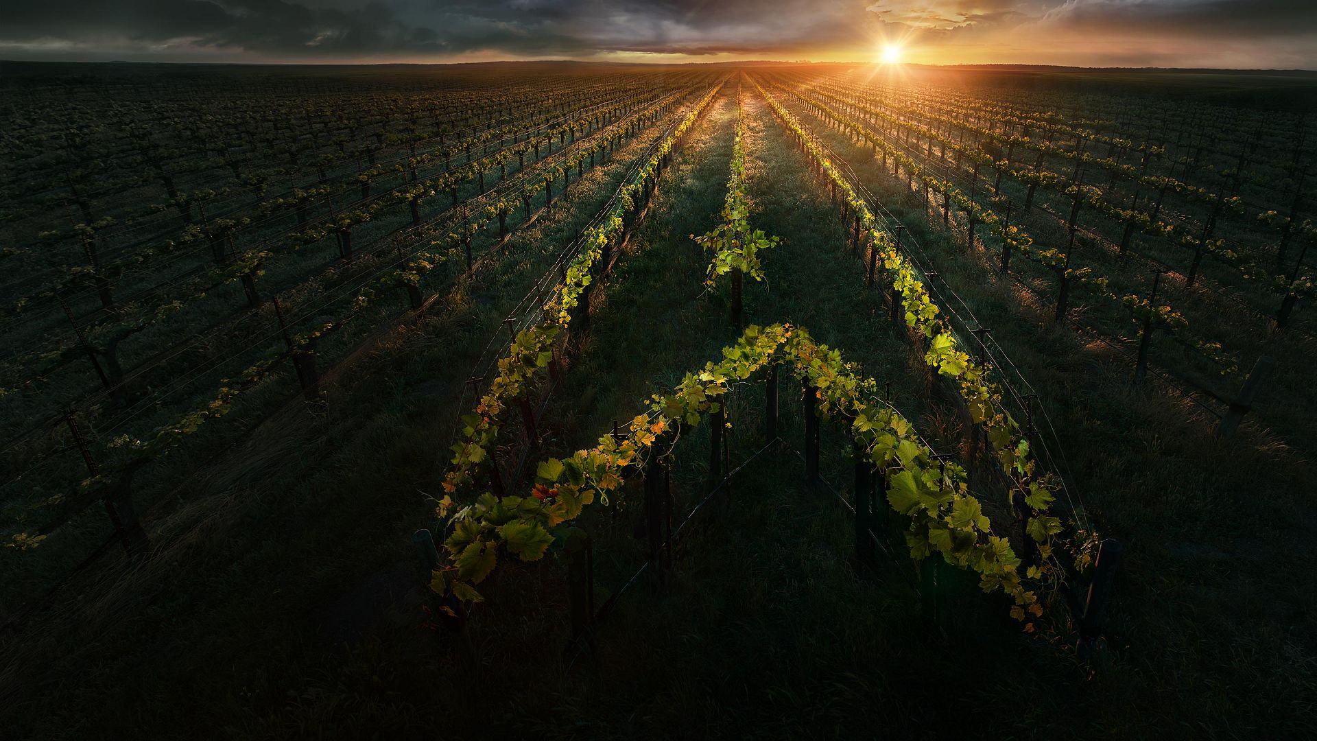 Star Trek: Picard 3. Sezon 4. Bölüm