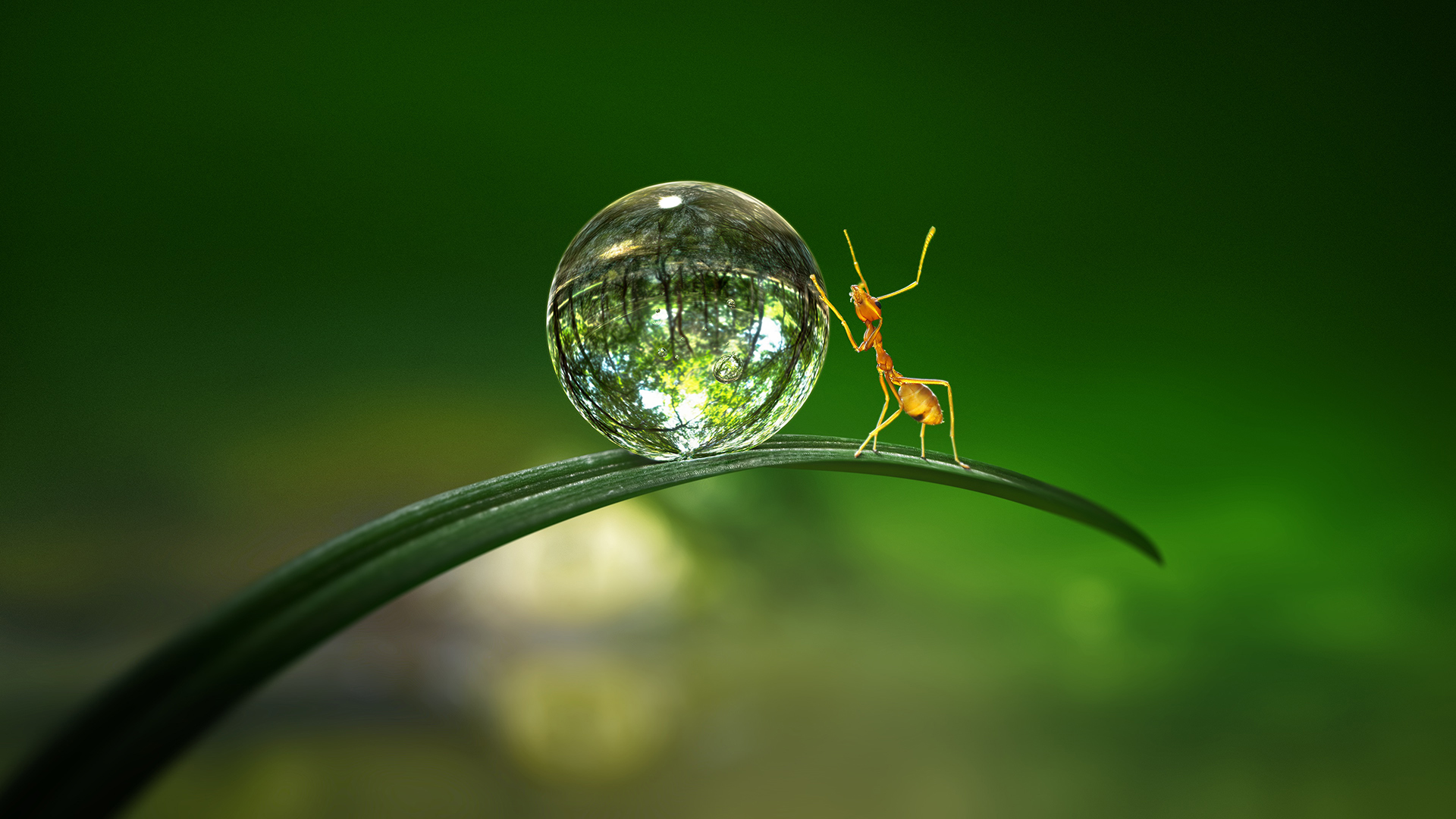 Tiny World 1. Sezon 3. Bölüm