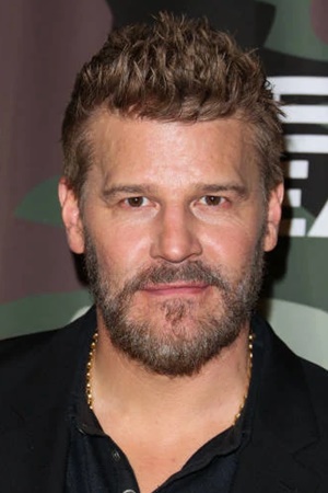 David Boreanaz tüm dizileri dizigom'da