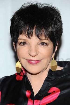 Liza Minnelli tüm dizileri dizigom'da