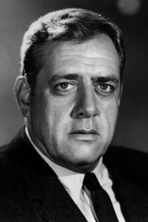 Raymond Burr tüm dizileri dizigom'da