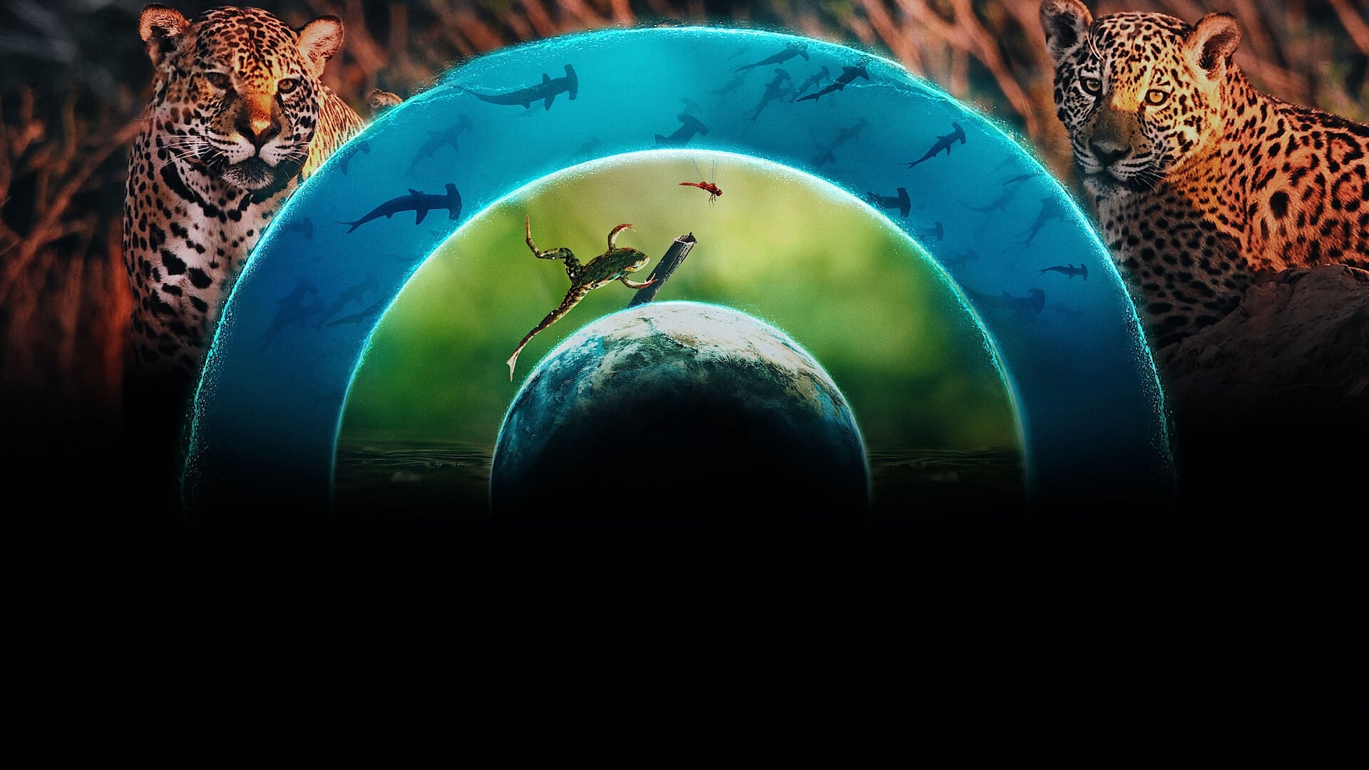 Our Living World 1. Sezon 1. Bölüm